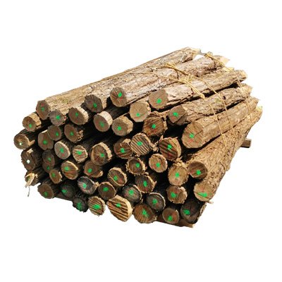 Piquets acacia écorcés, épointés, 2m, ronds Ø12/14 par 50