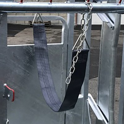 2 Sangles ventrales avec chaines